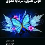 Spiritual Intelligence, Spiritual Capital