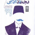About Literary Modernity