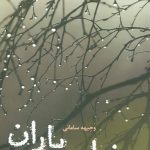 Dream of Rain