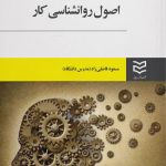 Principles of Work Psychology