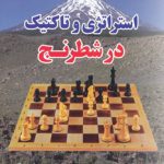 Strategy and Tactics in Chess