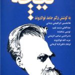On Understanding Nietzsche