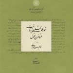 Analytical Theory of Cognition and Law of Transformation