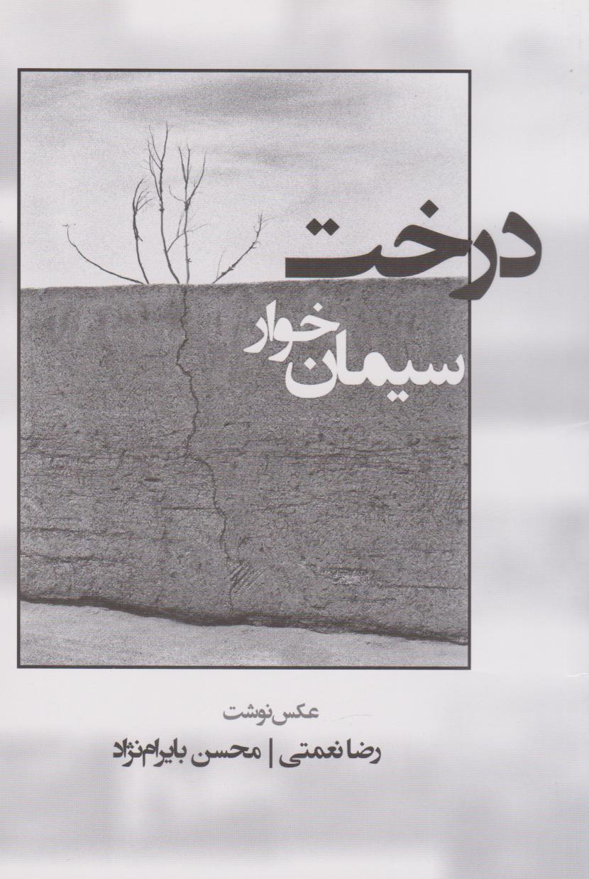 aafef32bd243468d80bf79469b1aa095.jpg Concrete-Eating Tree - Image 1