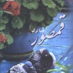 Qamsur