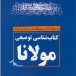 Descriptive Bibliography of Rumi